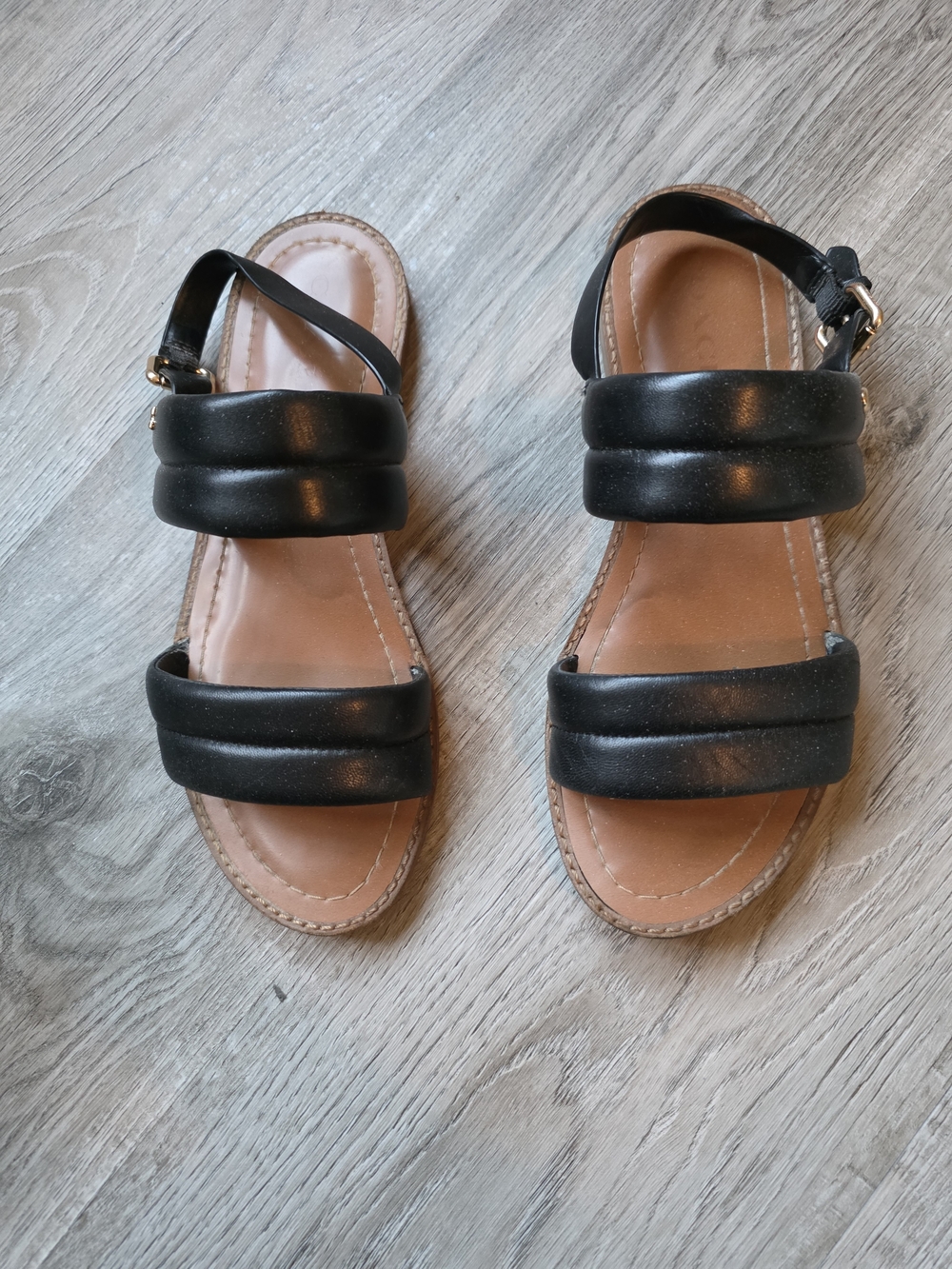 Coach Black Padded Double-Strap Women's Sandals